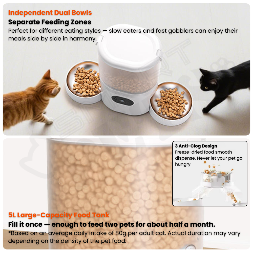 draft 4 - 2026-04-03T152942.033