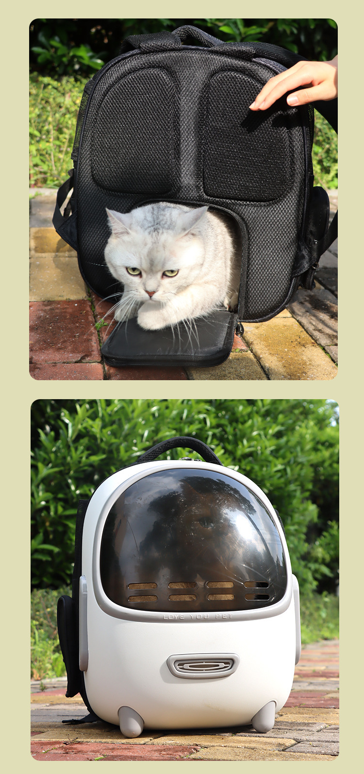 O1CN01VsOpKV1SDbWM0a3nY_!!2929202213-0-cib