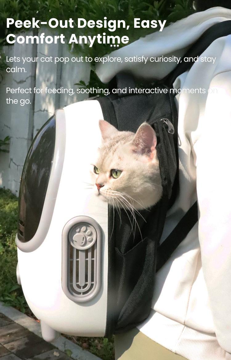 One-Touch Fresh Air System (2)