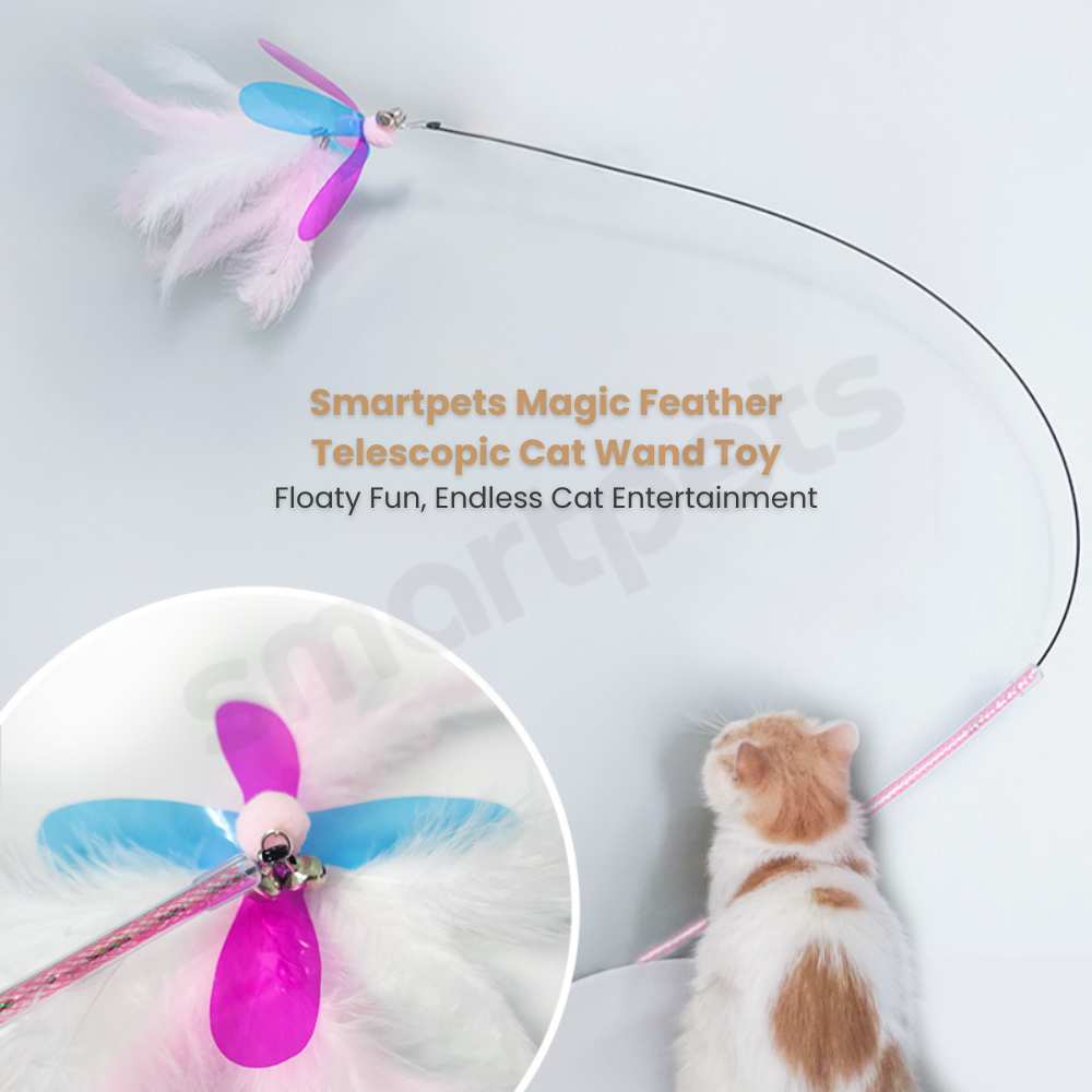Smartpets draft 1 (11)