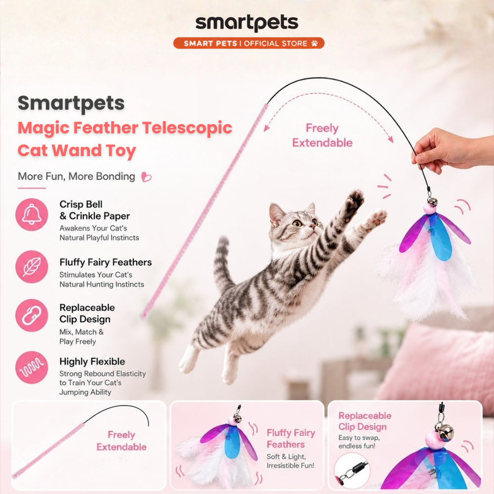 Smartpets draft 1 (10)