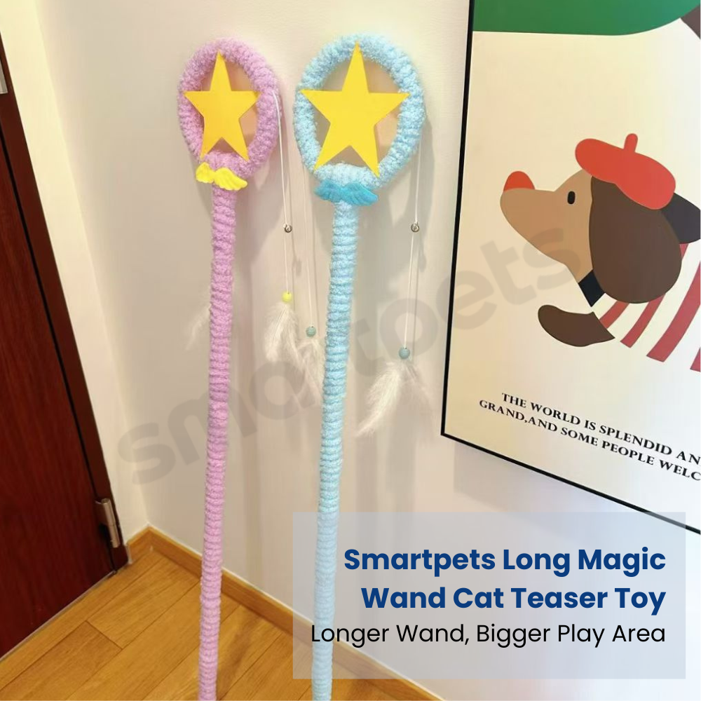 Smartpets draft 1 (19)