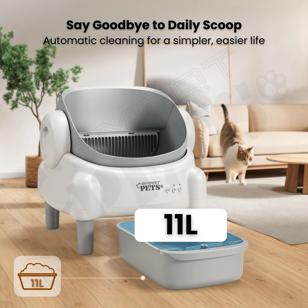 my-11134207-7rasa-mb4rhrlhz0ty51