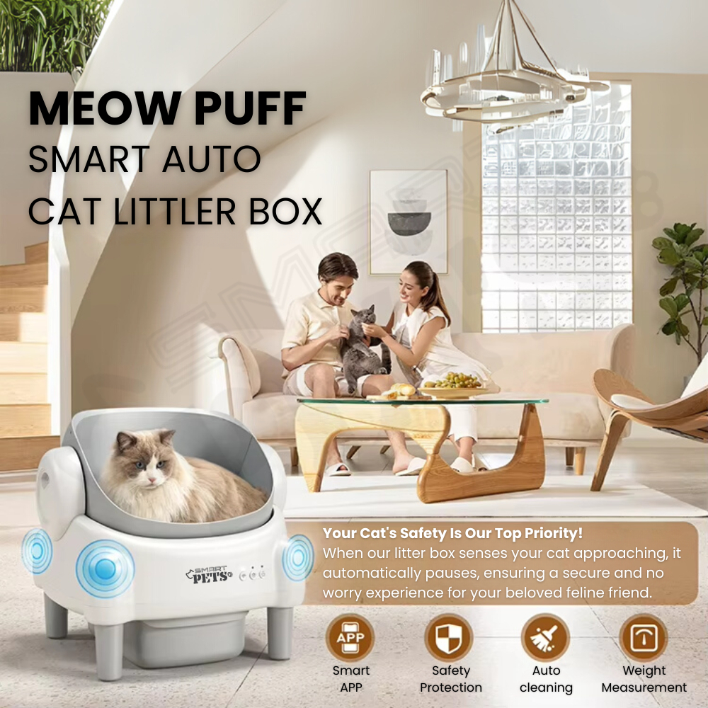 my-11134207-7rasd-mb4qg3kocizvd2