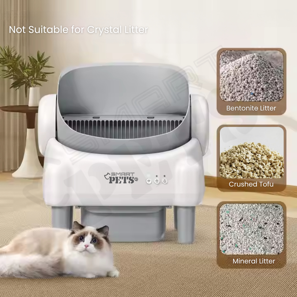 my-11134207-7rash-mb4qgdefyu46a9