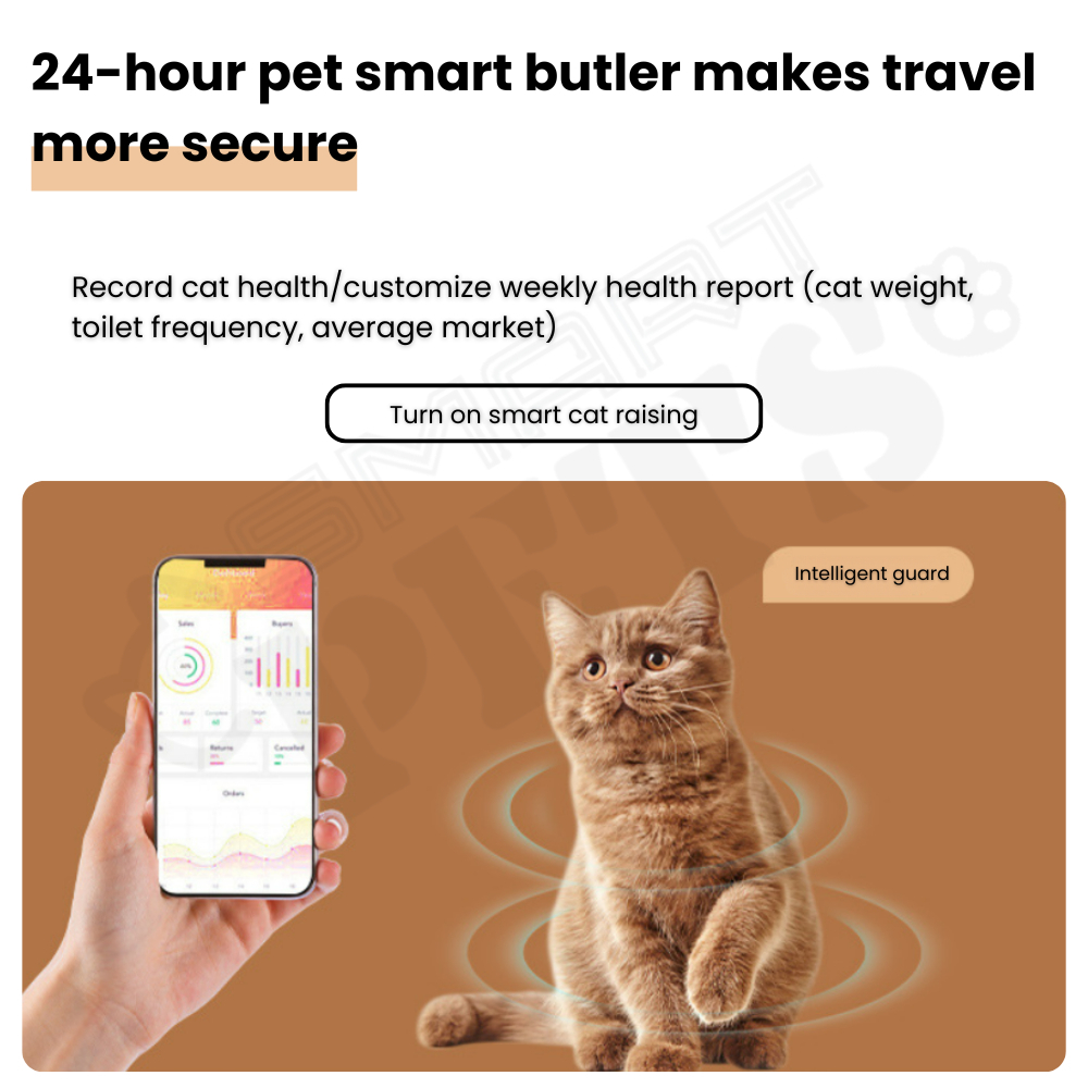 my-11134207-7rase-mb4q76v3o2sr9b