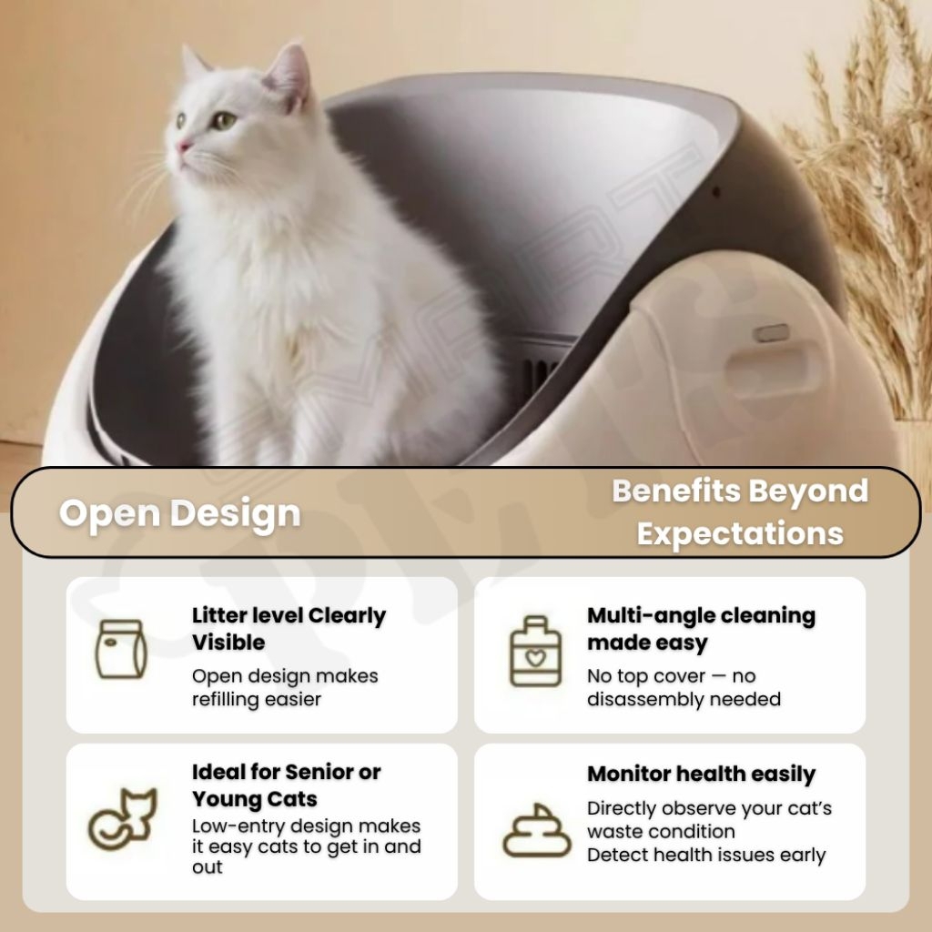 my-11134207-7rasb-mb6a0k2n1gjv1b