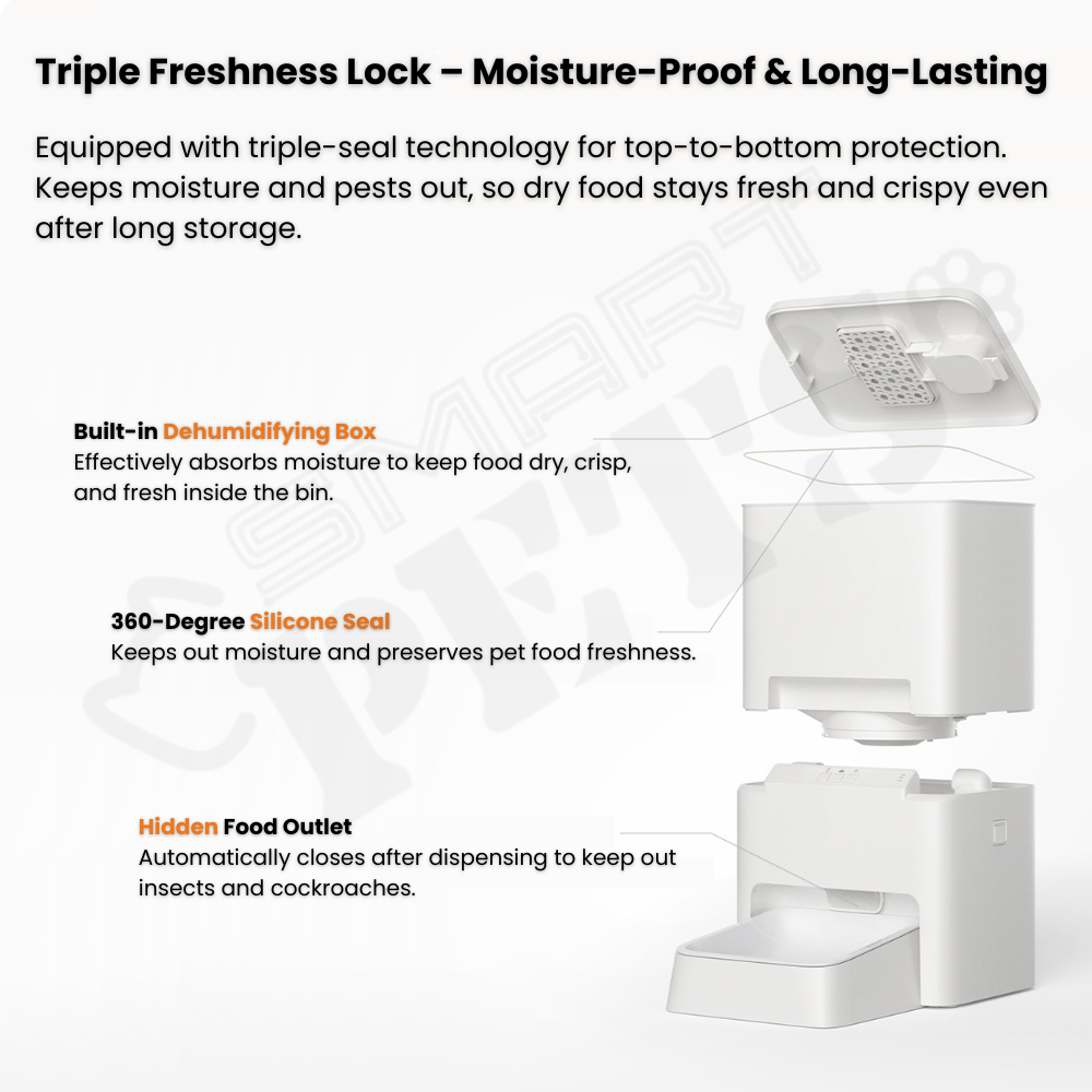 Draft2 - 2025-08-20T170726.731