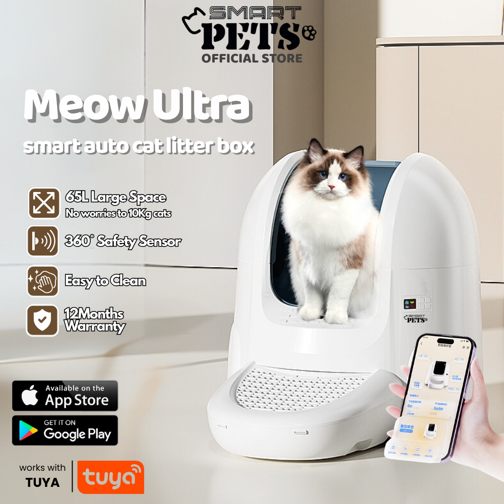 Self Cleaning Big Cat Toilet Frying Pan Steam Frying Pan Air Frying Oven Low-fat French Fries Machine 220V (46)