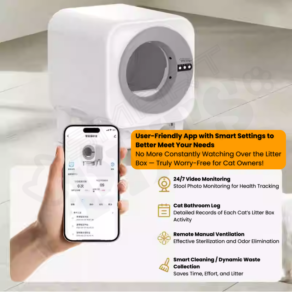 For YW - 2025-10-15T152214.013