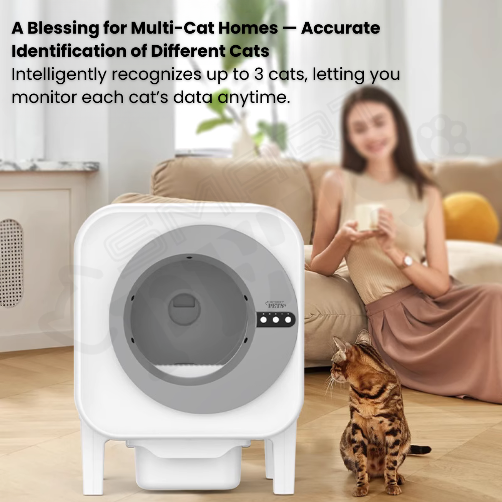 For YW - 2025-10-15T152225.871