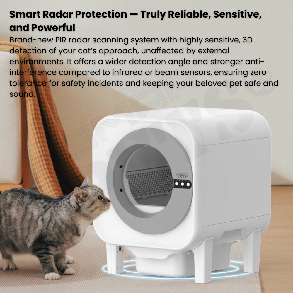 For YW - 2025-10-15T152235.805