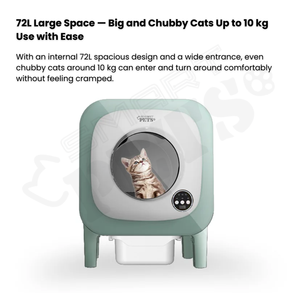 For YW - 2025-10-15T160732.230