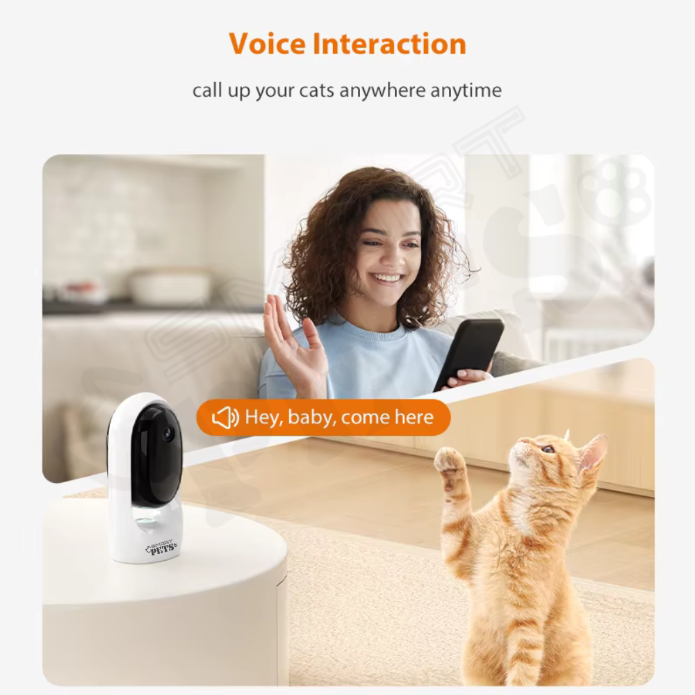 Draft3 - 2025-11-19T173509.359