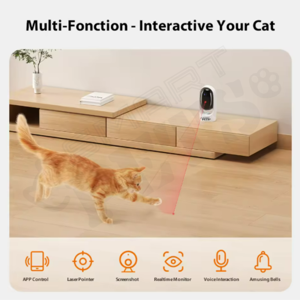 Draft3 - 2025-11-19T173444.916