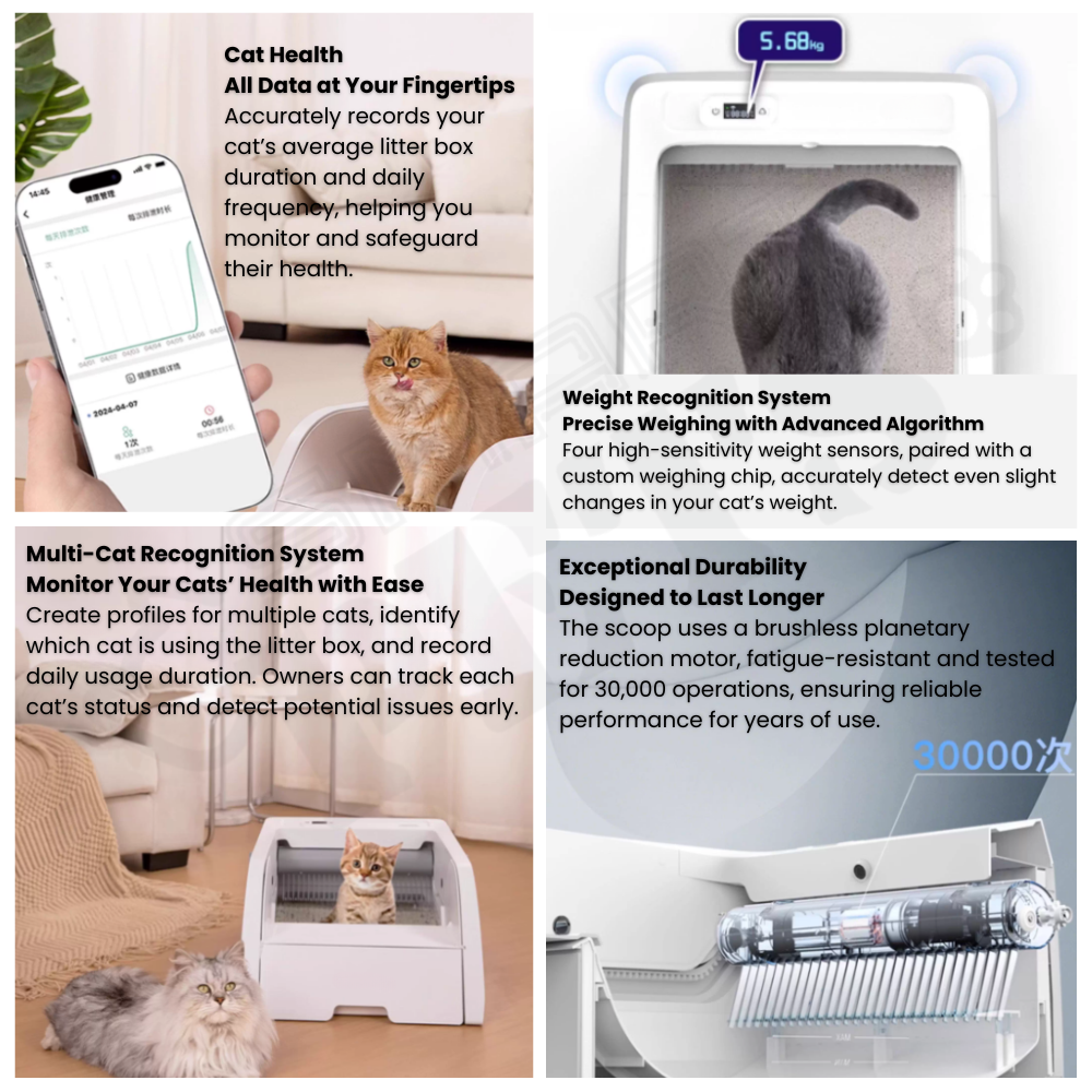 draft 4 - 2025-12-11T164117.773