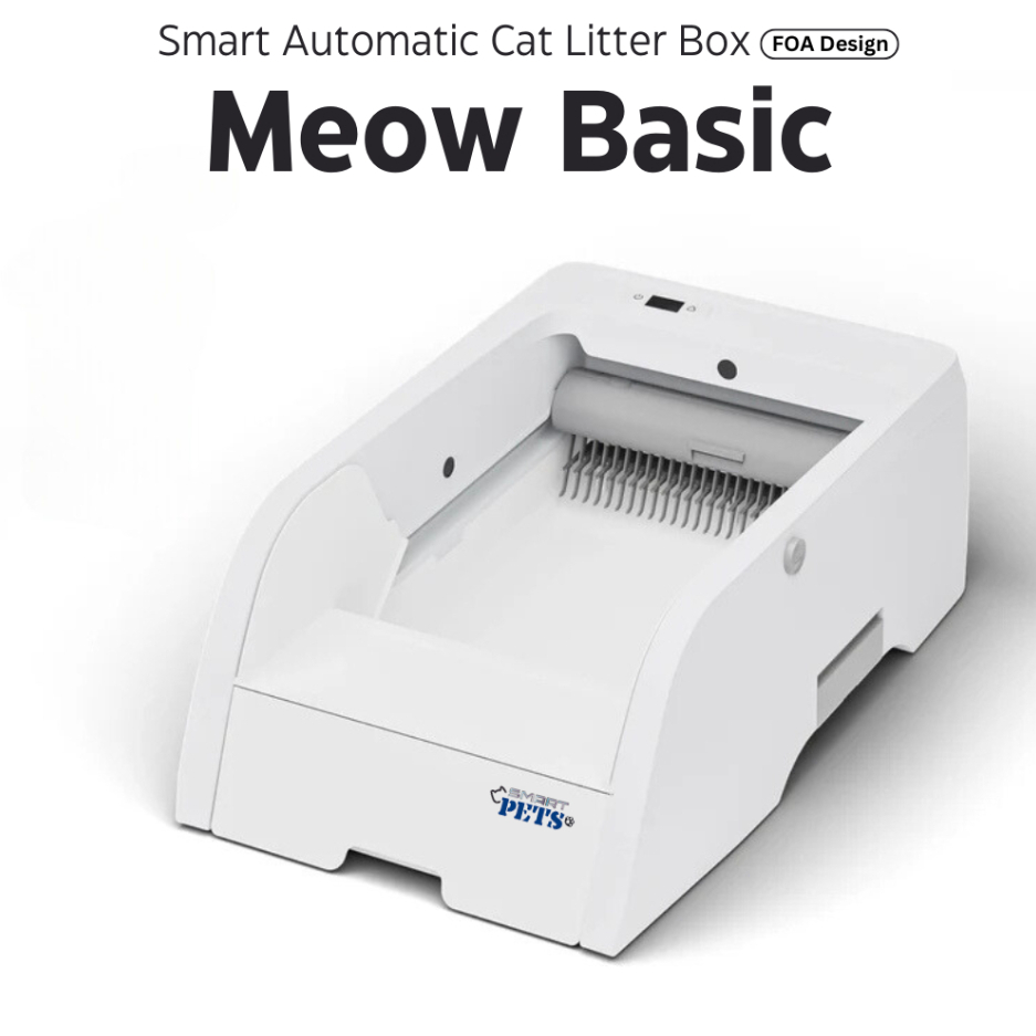 my-11134207-7rase-m4jsmhnruj7d52