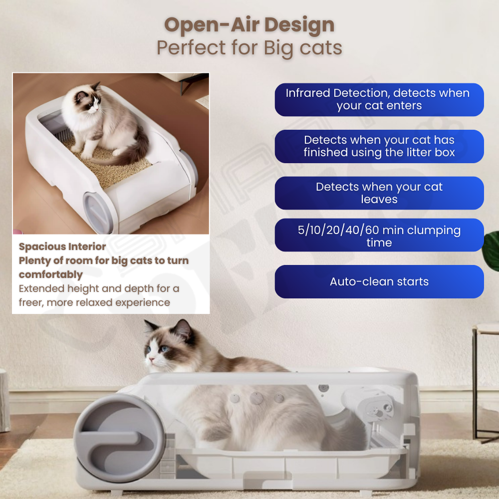 For YW - 2025-12-12T175031.552