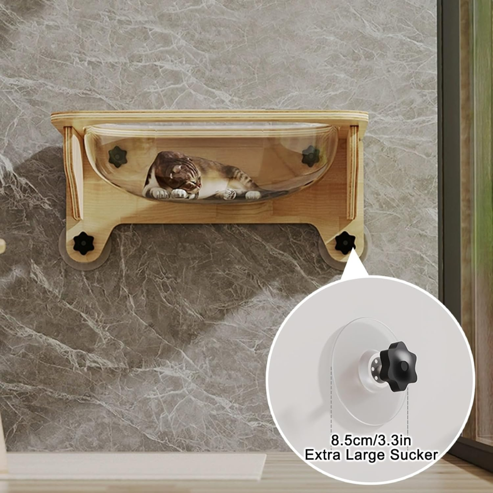 For YW - 2025-12-19T114245.116