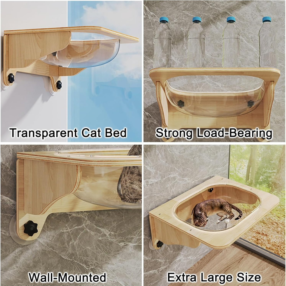 For YW - 2025-12-19T114240.727