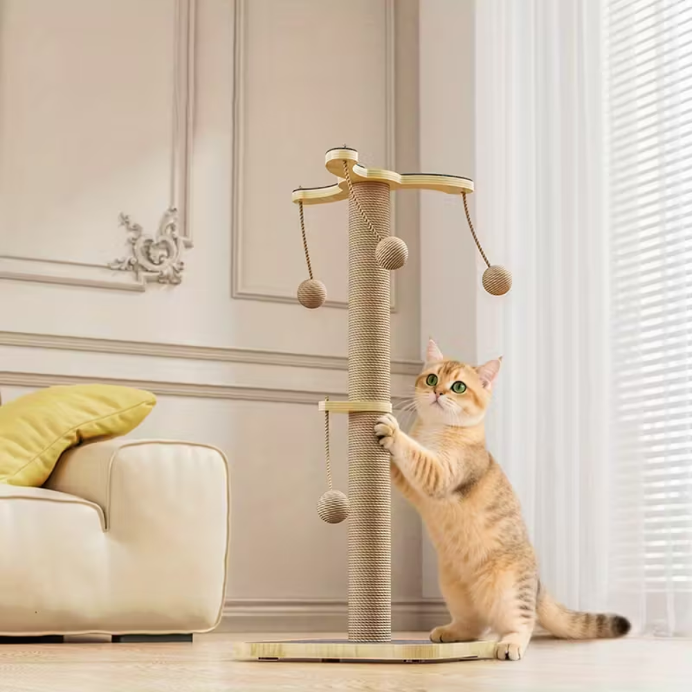 For YW - 2025-12-19T170752.031