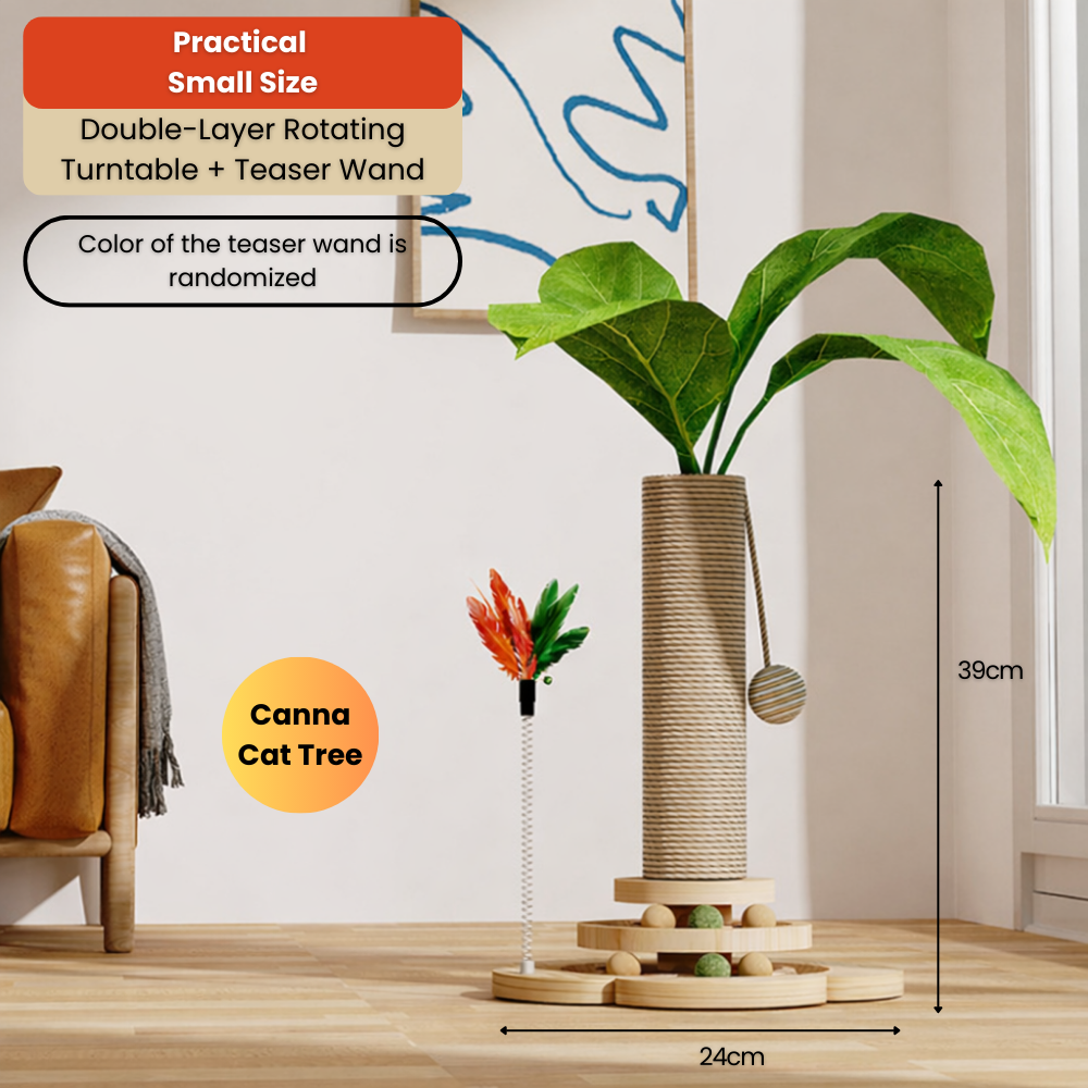 For YW - 2025-12-22T131803.676