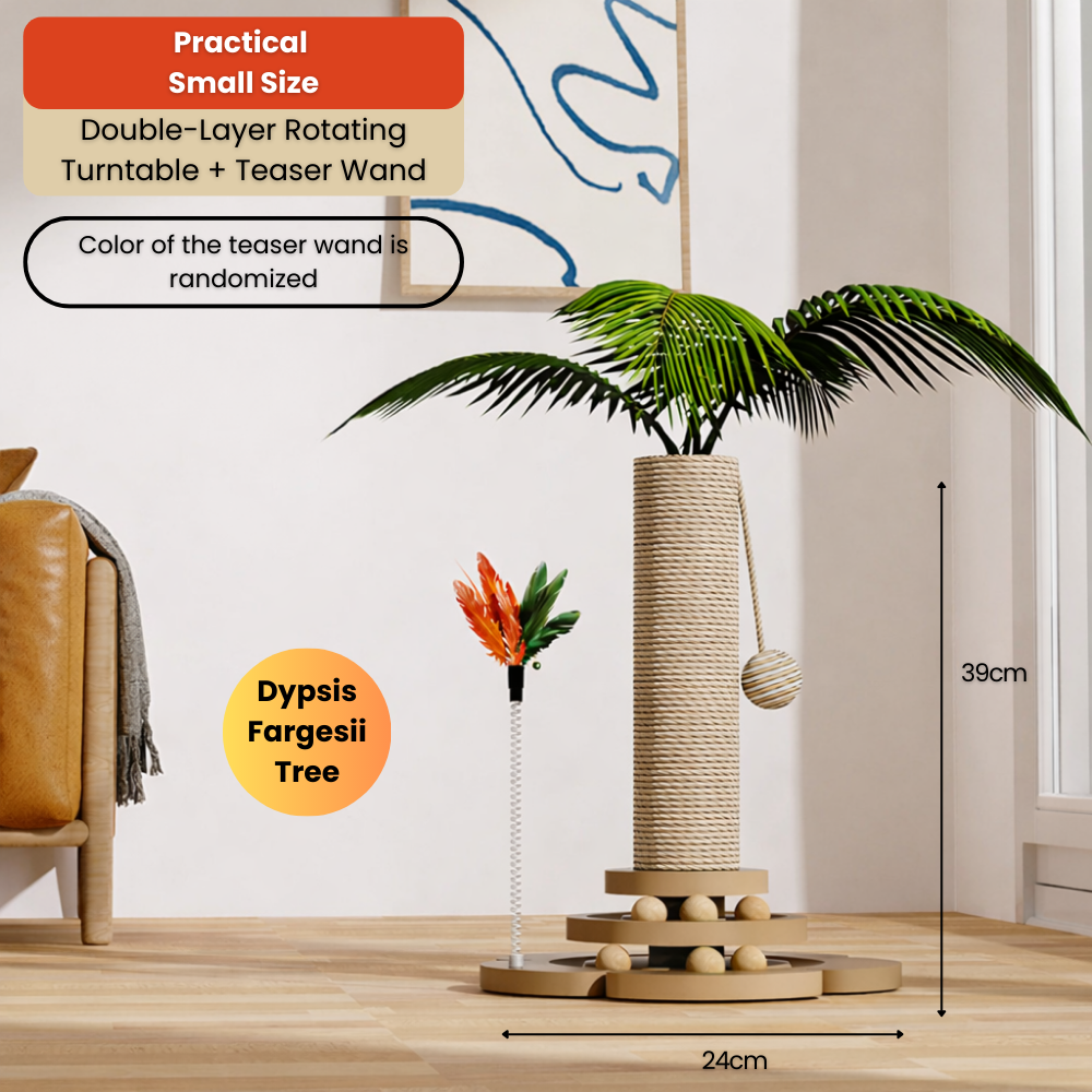 For YW - 2025-12-22T131812.268