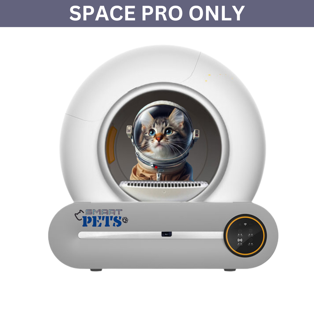 my-11134207-7r992-lzj0vulszk2o08