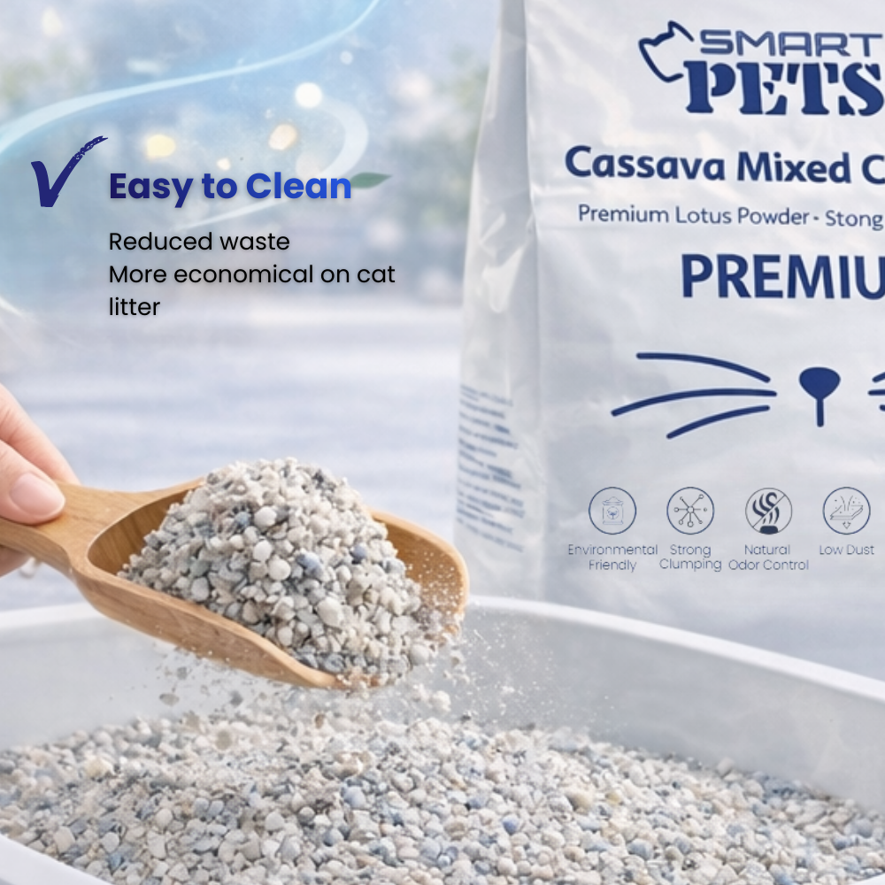 draft 4 - 2025-12-29T173816.523