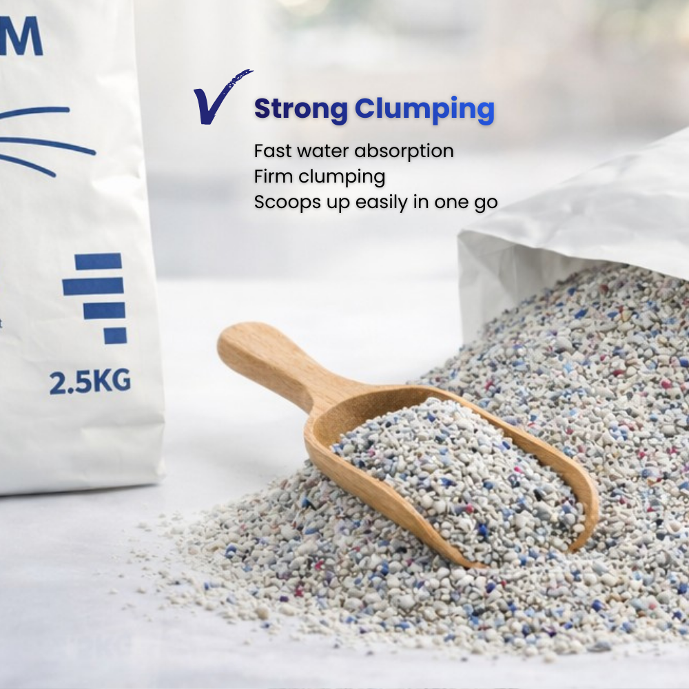 draft 4 - 2025-12-29T173803.014