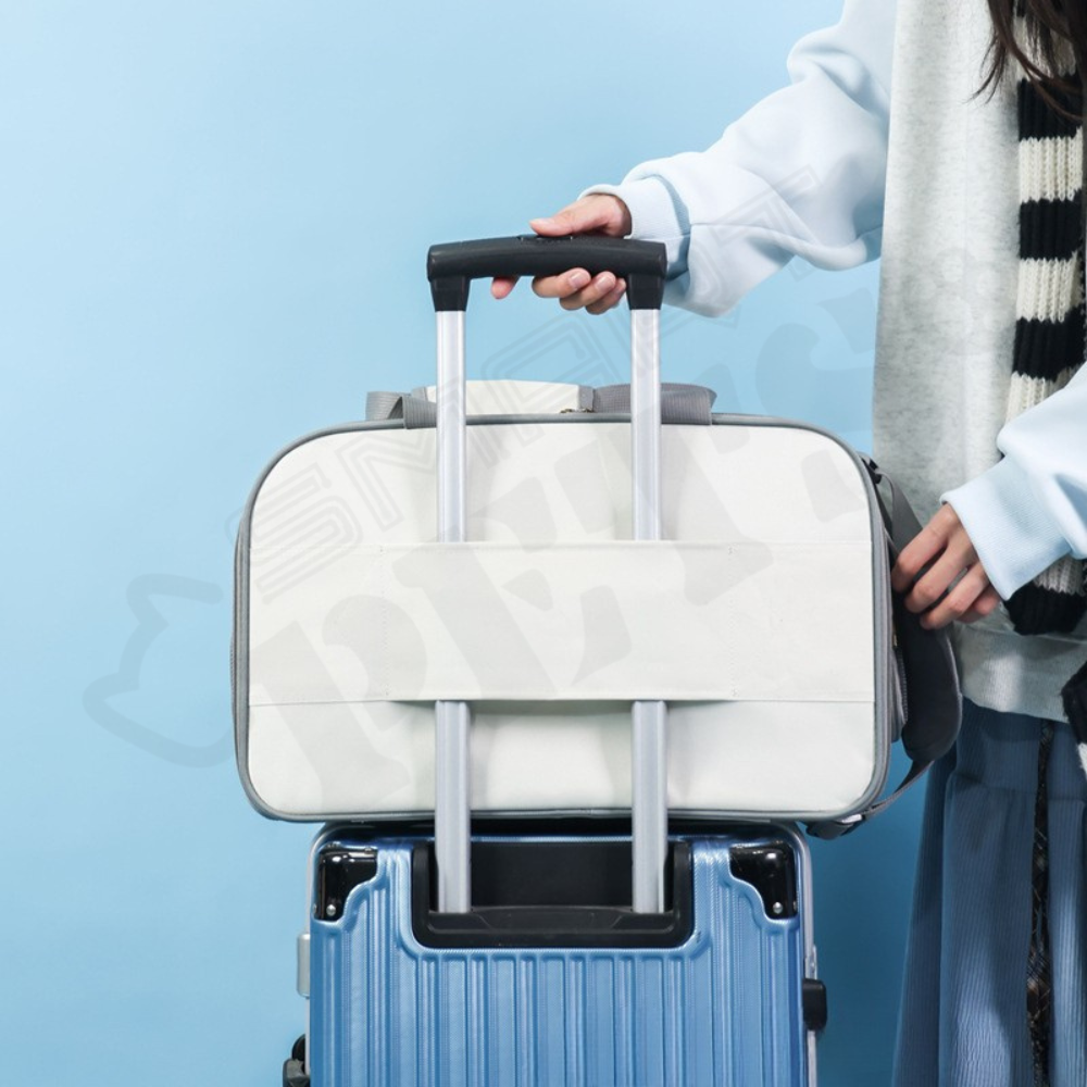 Smartpets draft (16)