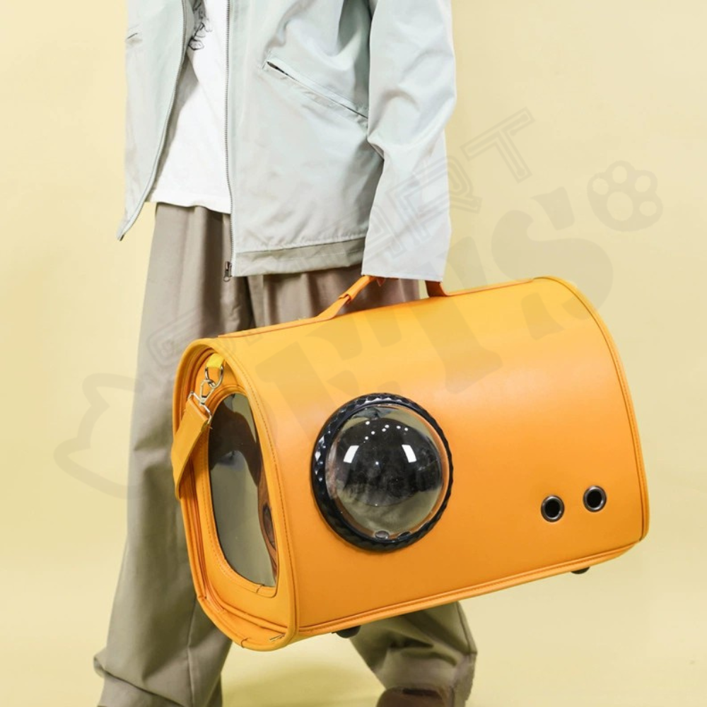 Smartpets draft (54)