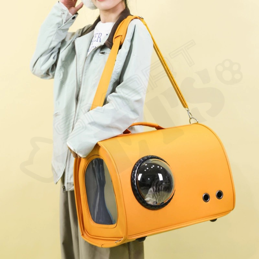 Smartpets draft (52)