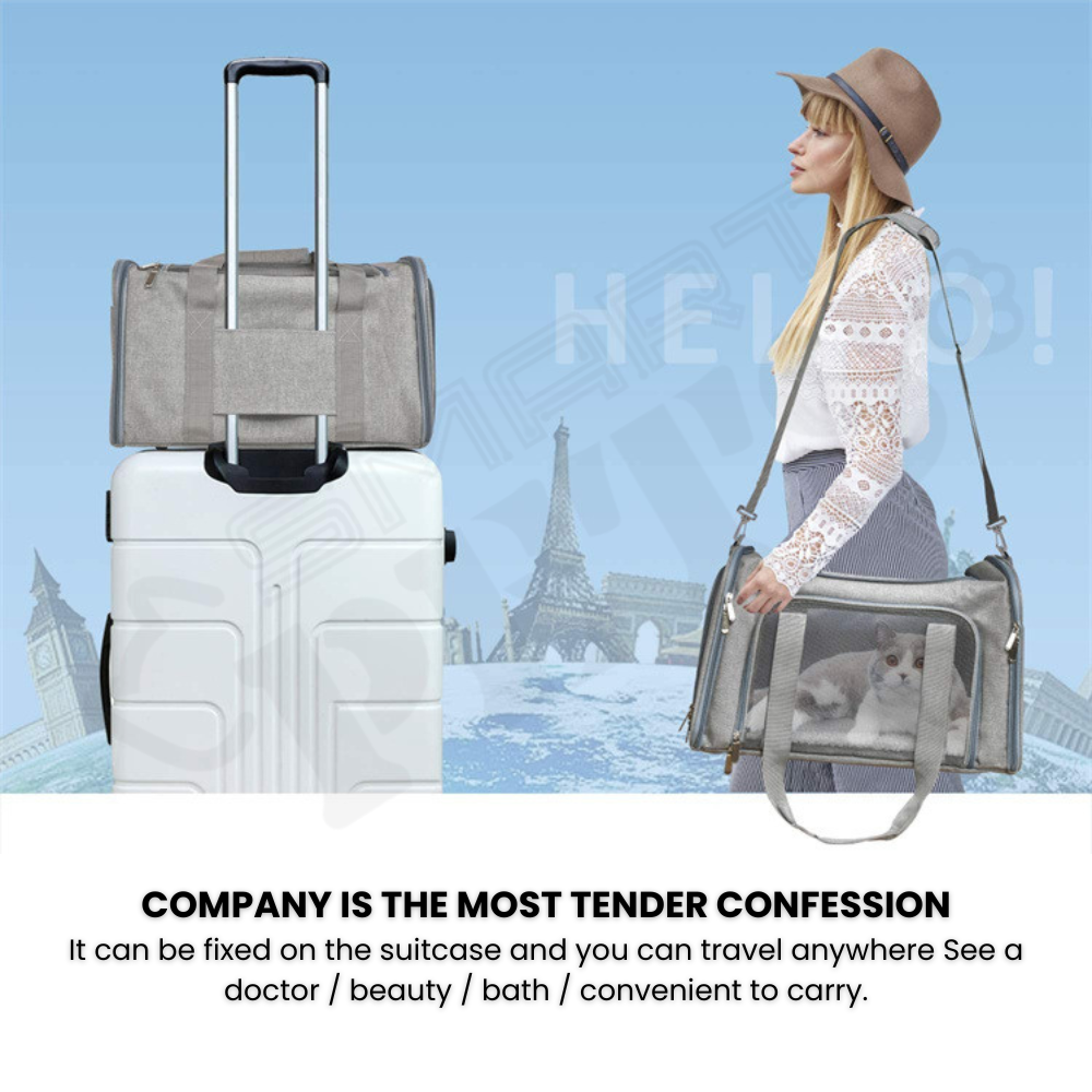 Smartpets draft (74)