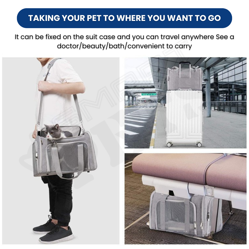 Smartpets draft (71)