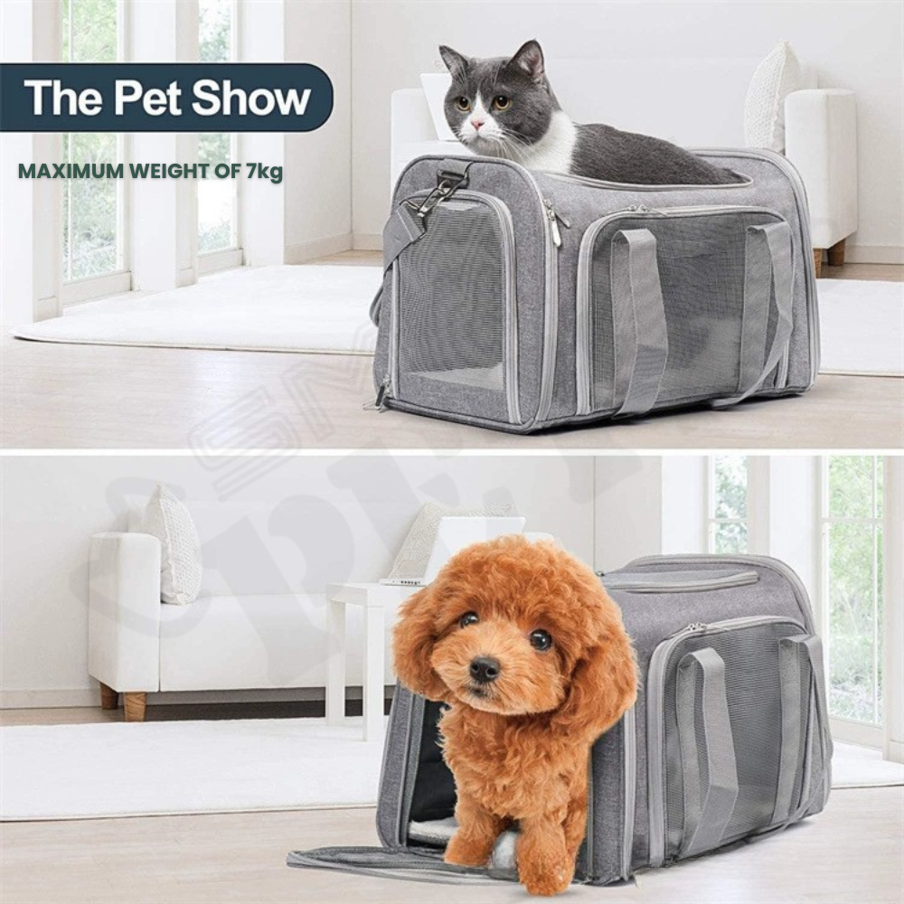 Smartpets draft (67)