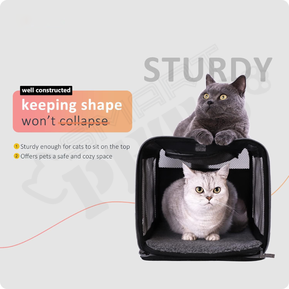 Smartpets draft (85)