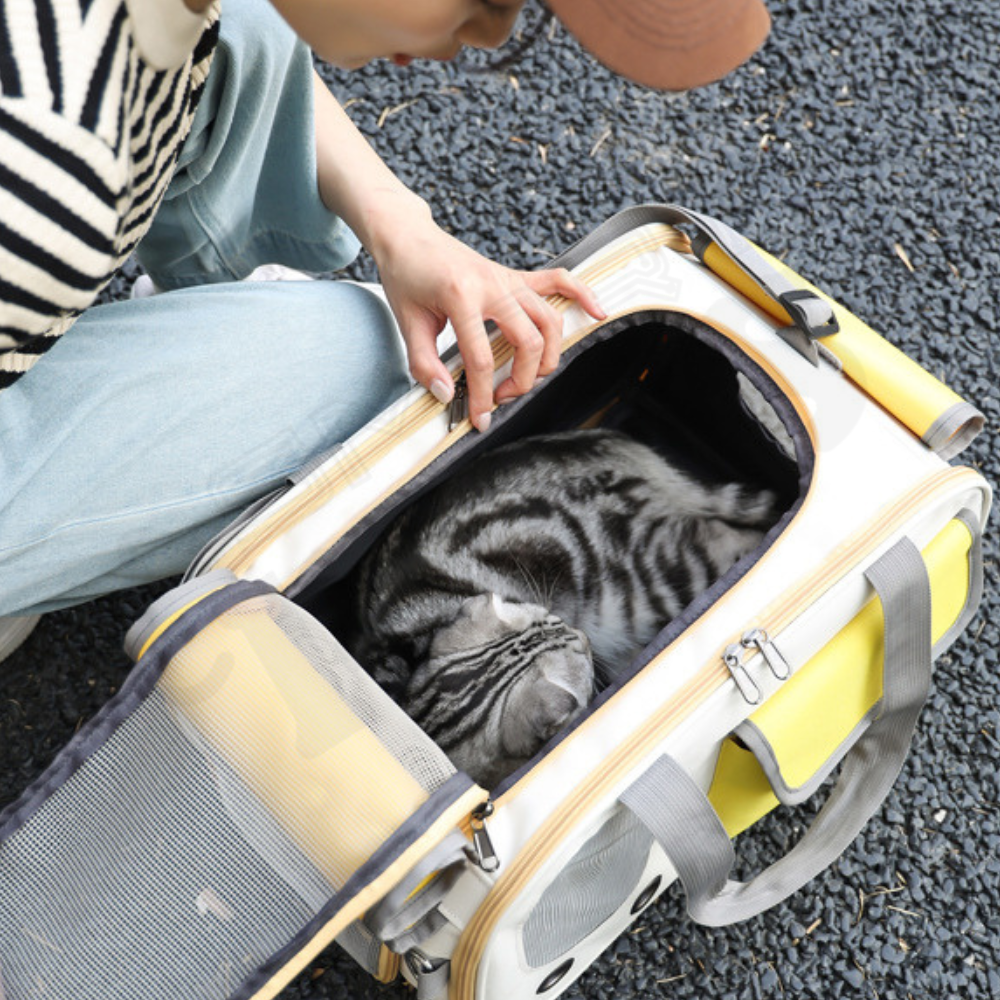 Smartpets draft (14)