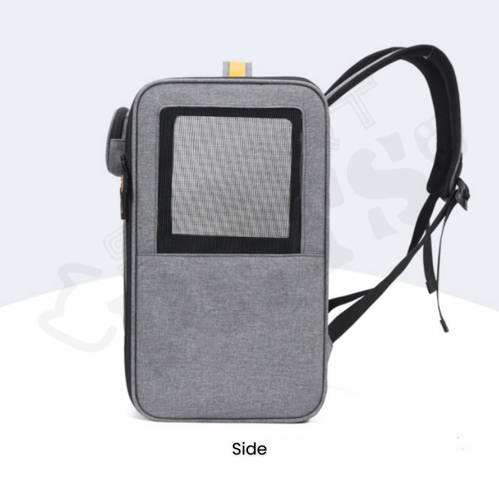 Smartpets draft (54)