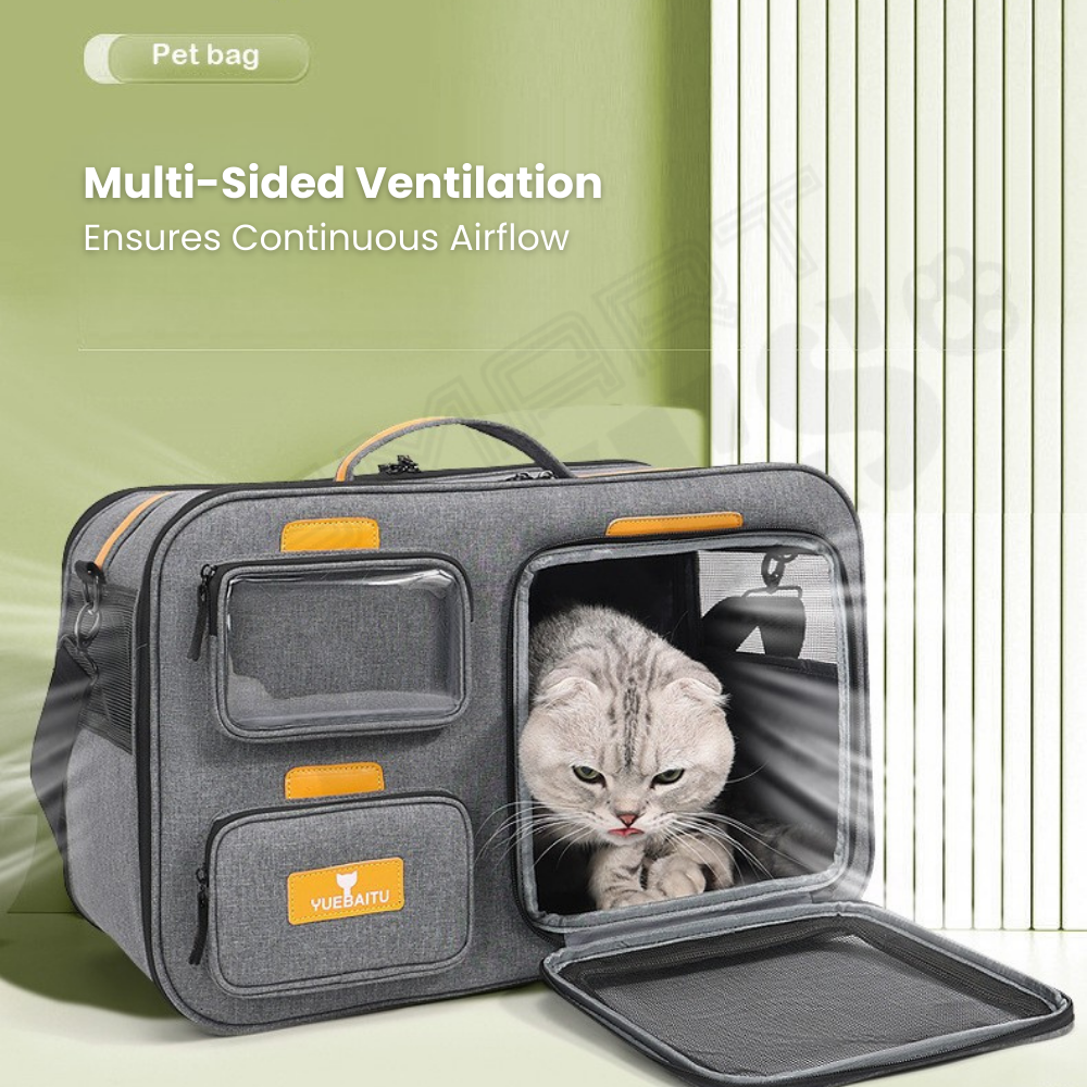 Smartpets draft (57)