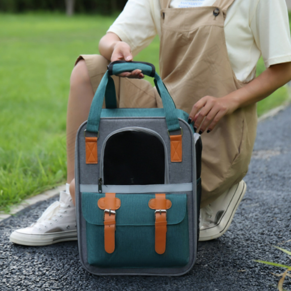 Smartpets draft 1 (61)