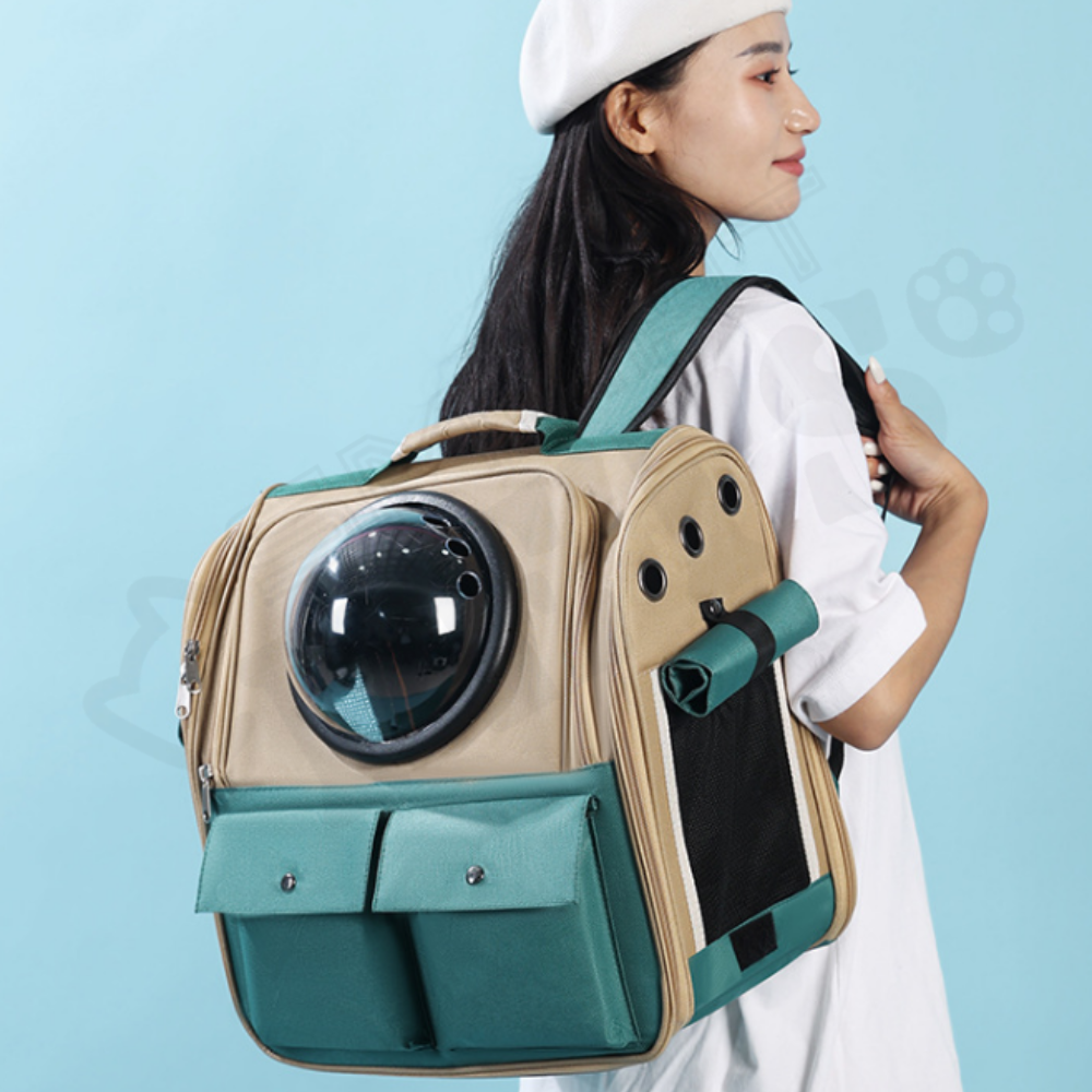 Smartpets draft 1 - 2026-01-08T160845.438