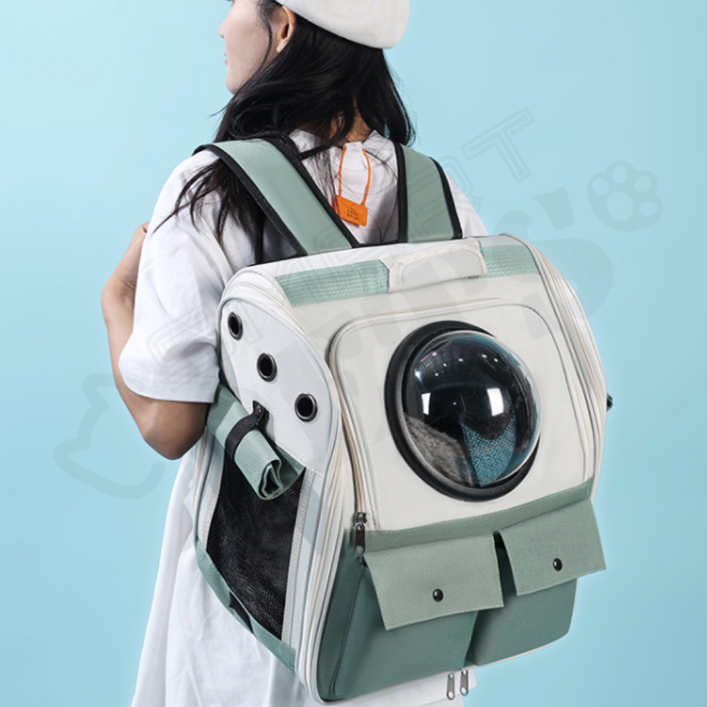 Smartpets draft 1 - 2026-01-08T160842.578