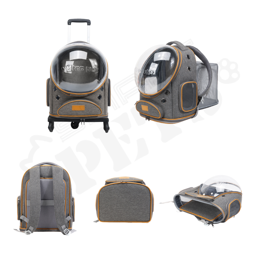 Smartpets draft 1 - 2026-01-09T115323.197