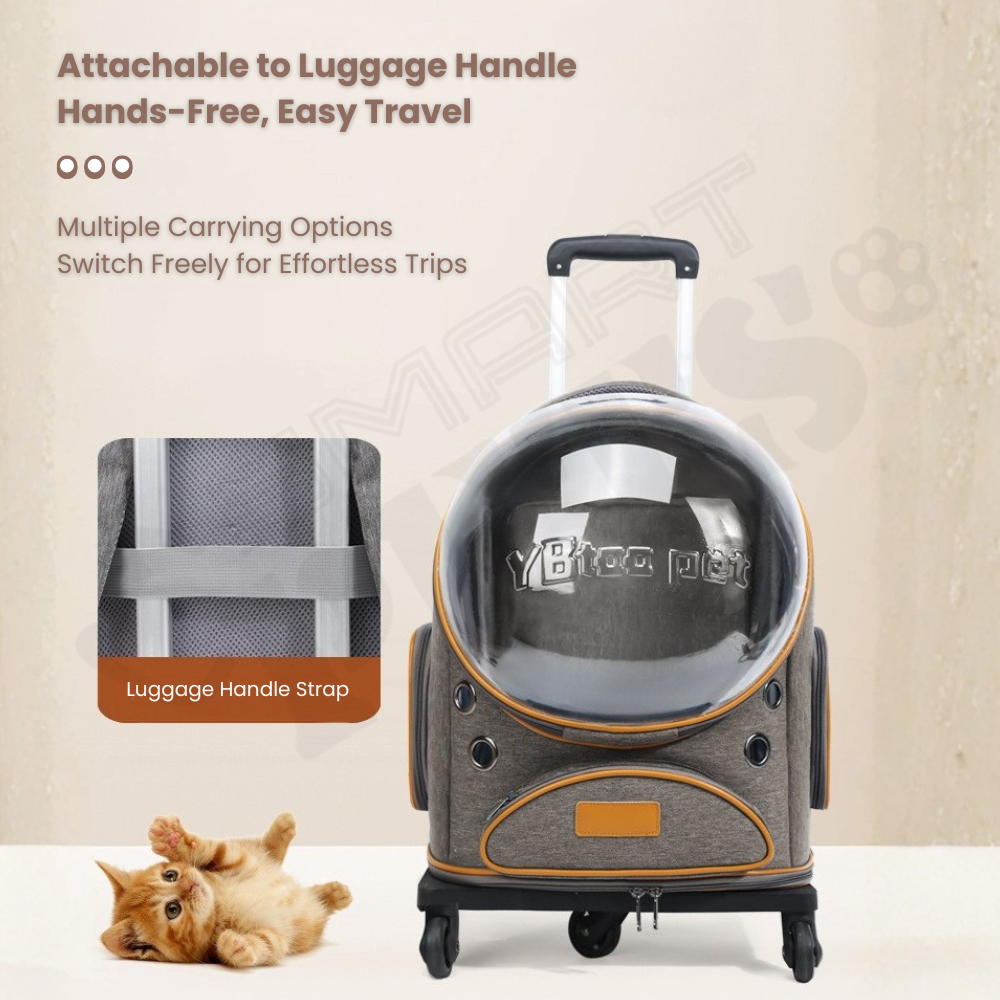 Smartpets draft 1 - 2026-01-09T115257.398