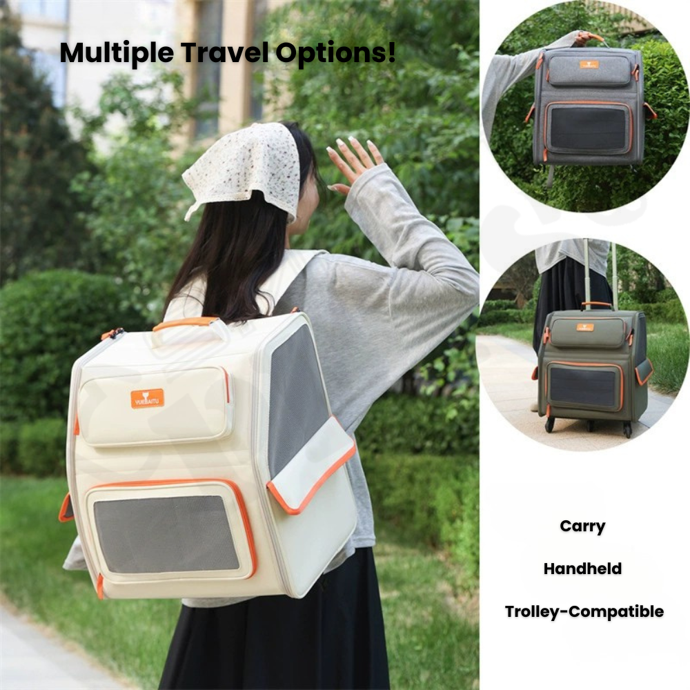 Smartpets draft 1 - 2026-01-09T152145.433