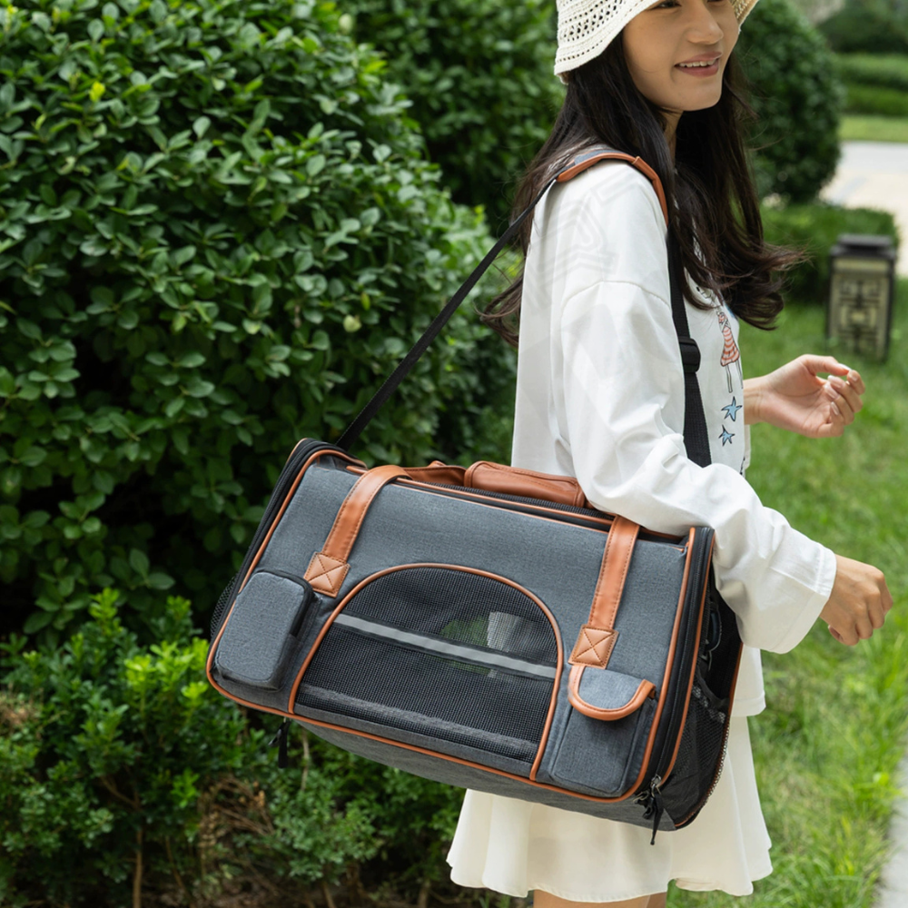 Smartpets draft 1 - 2026-01-13T104831.531