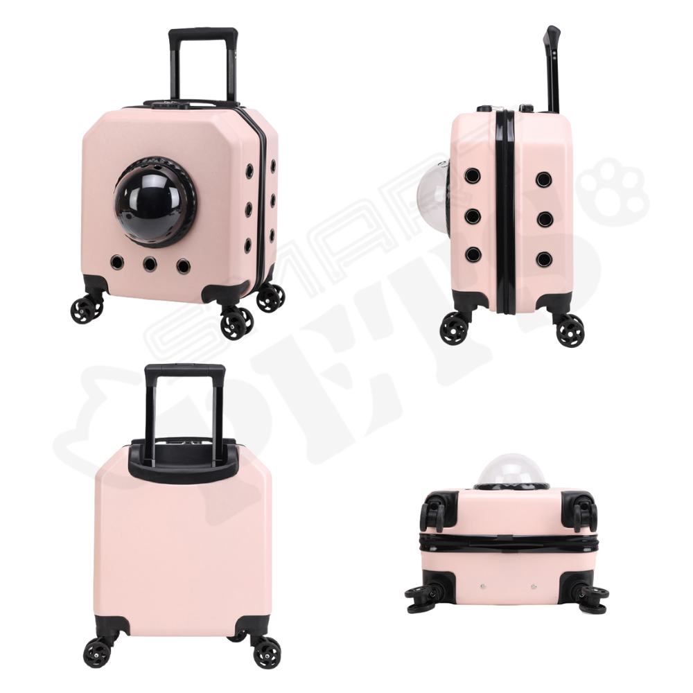 Smartpets draft 1 - 2026-01-13T123441.232