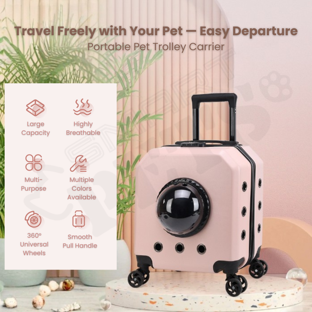 Smartpets draft 1 - 2026-01-13T123426.834