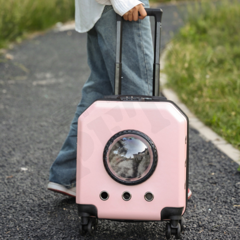 Smartpets draft 1 - 2026-01-13T123453.976